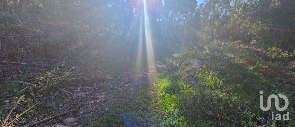 Terreno em Venda do Pinheiro e Santo Estêvão das Galés de 2 125 m²