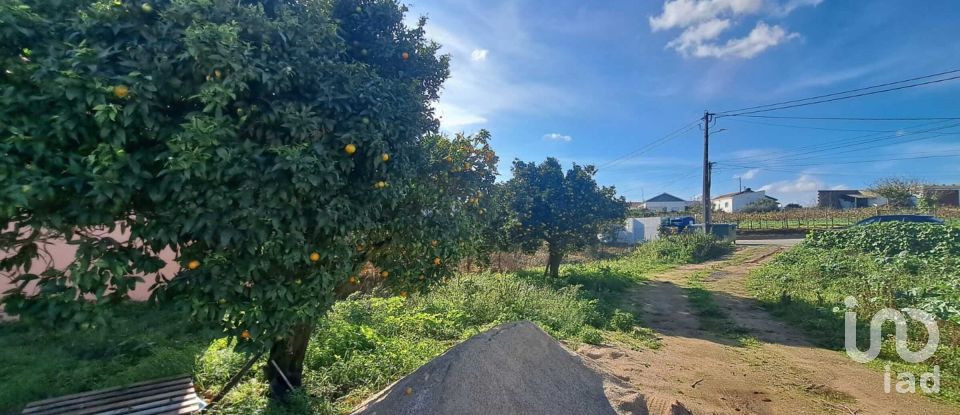 Terreno urbano em Vermelha de 514 m²