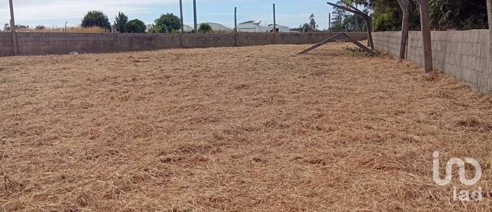 Land in Estela of 500 m²