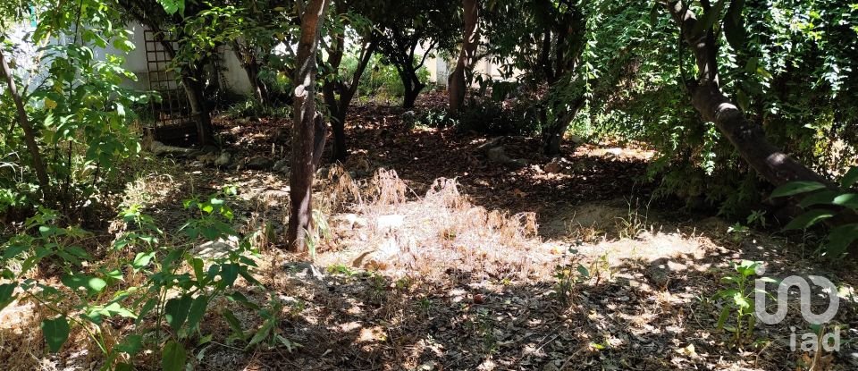 Traditional house T5 in Caia, São Pedro e Alcáçova of 270 m²