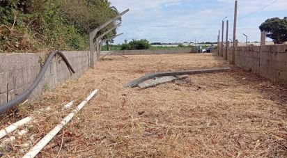 Terrain à Estela de 500 m²