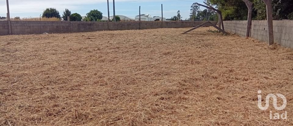 Land in Estela of 500 m²