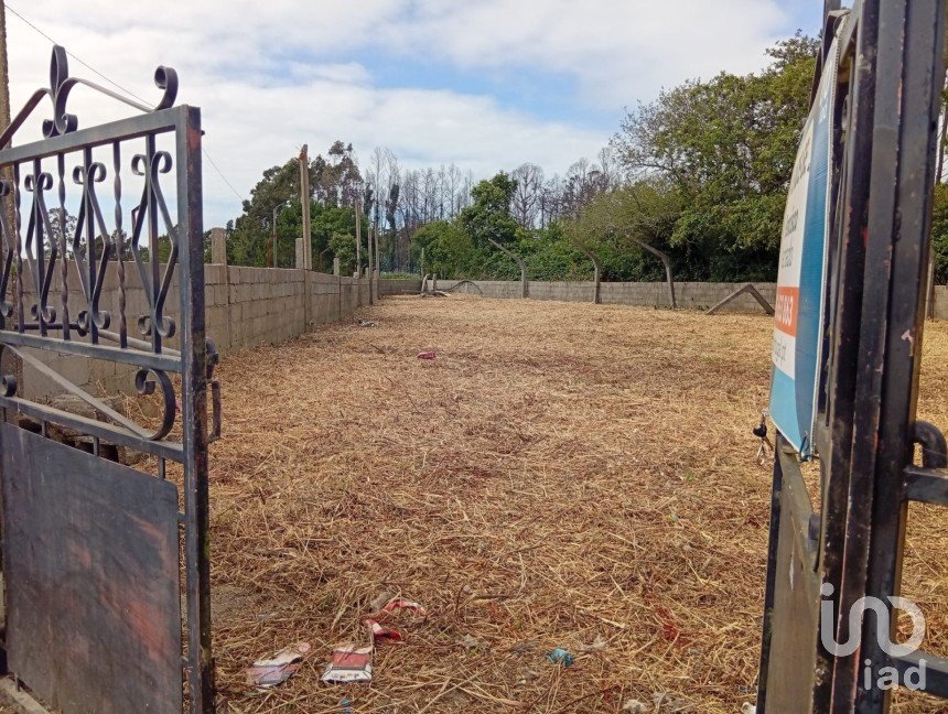 Land in Estela of 500 m²