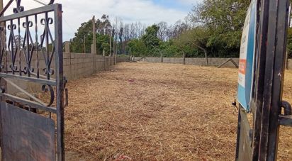 Terrain à Estela de 500 m²