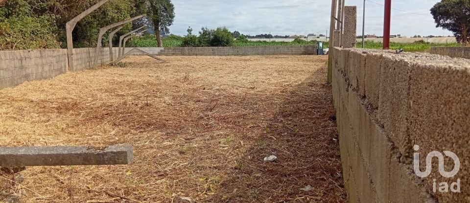 Land in Estela of 500 m²