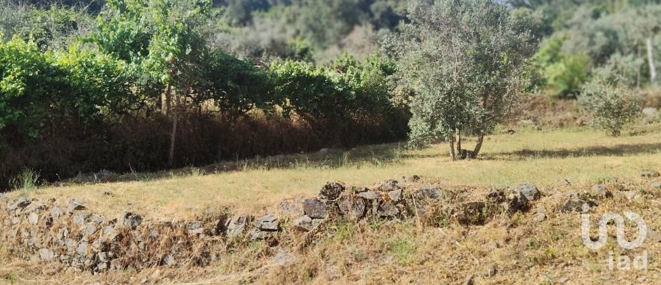 Terreno em Pedrógão Pequeno de 3 600 m²