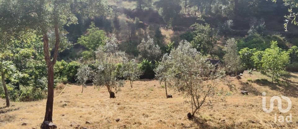 Terreno em Pedrógão Pequeno de 3 600 m²