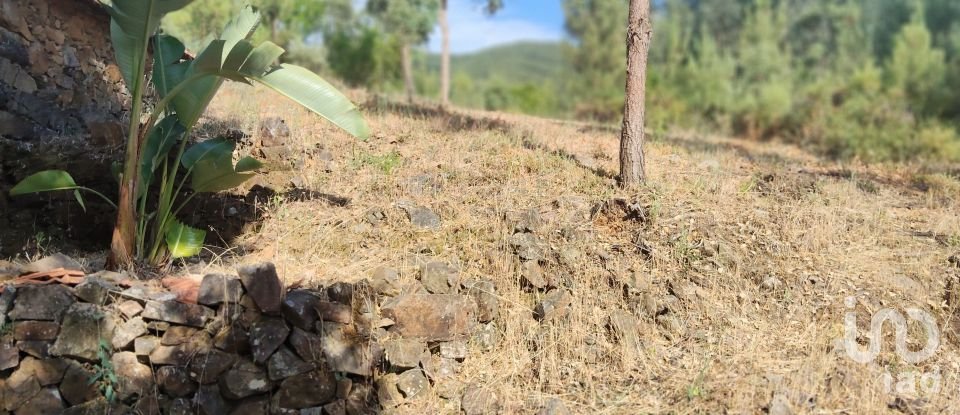 Terreno em Pedrógão Pequeno de 3 600 m²