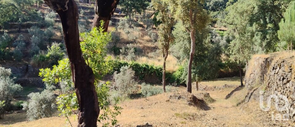 Terreno em Pedrógão Pequeno de 3 600 m²