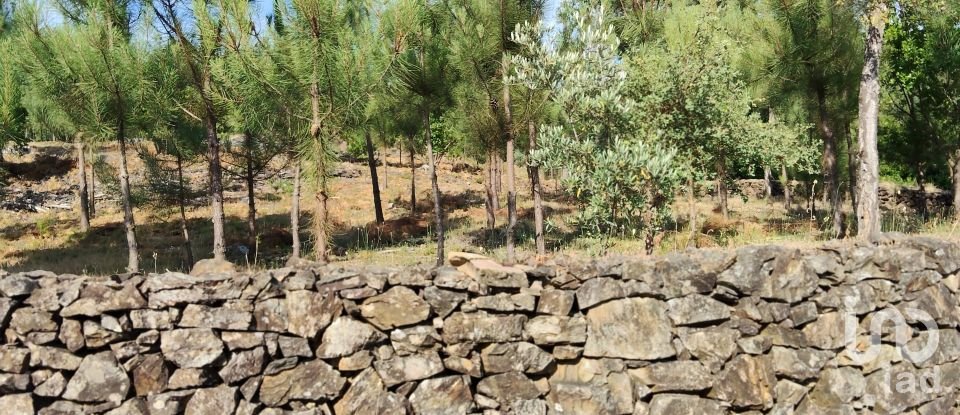 Terreno em Pedrógão Pequeno de 3 600 m²