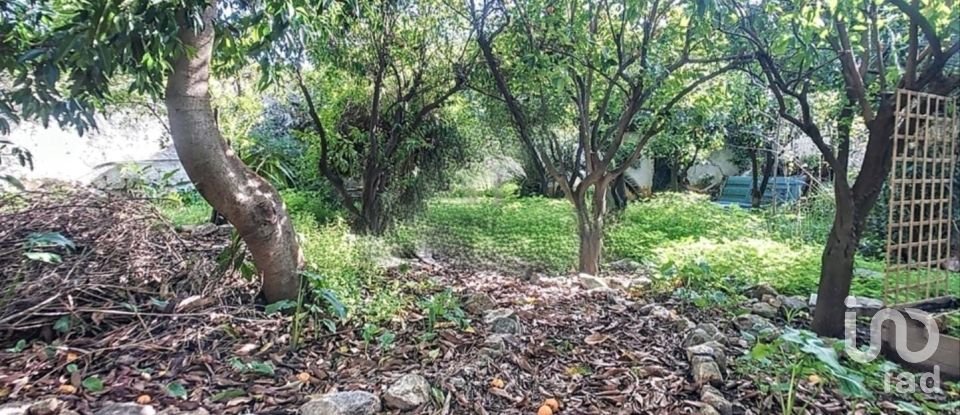 Traditional house T5 in Caia, São Pedro e Alcáçova of 270 m²