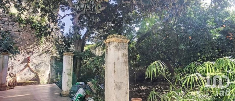 Traditional house T5 in Caia, São Pedro e Alcáçova of 270 m²