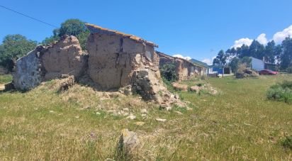 Terrain à São Teotónio de 50 375 m²