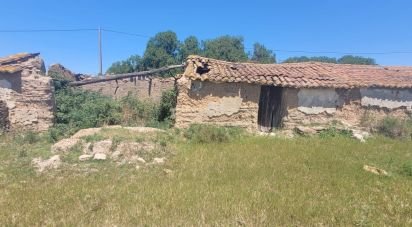 Terrain à São Teotónio de 50 375 m²