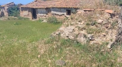 Terrain à São Teotónio de 50 375 m²