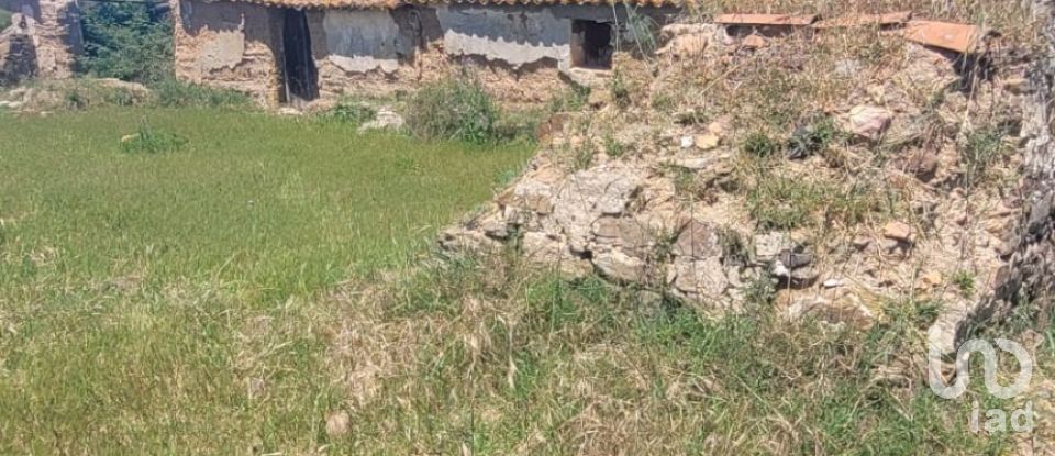 Terreno em São Teotónio de 50 375 m²