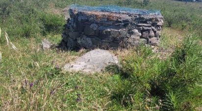 Terrain à São Teotónio de 50 375 m²