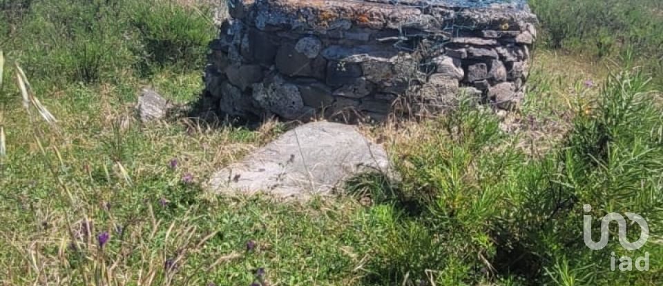 Terreno em São Teotónio de 50 375 m²