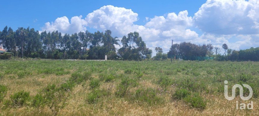 Terreno em São Teotónio de 50 375 m²