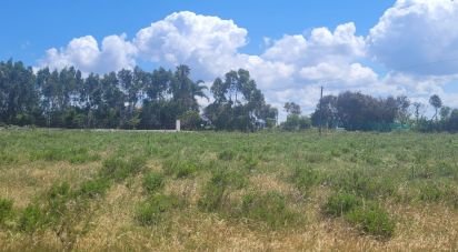 Terrain à São Teotónio de 50 375 m²