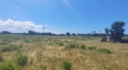 Land in São Teotónio of 50,375 m²