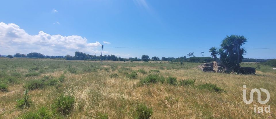 Terreno em São Teotónio de 50 375 m²