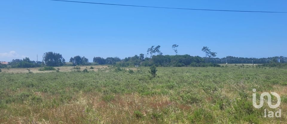 Terreno em São Teotónio de 50 375 m²