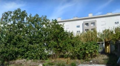 Terrain à Ajuda de 2 000 m²