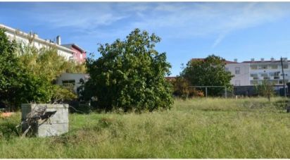 Terrain à Ajuda de 2 000 m²