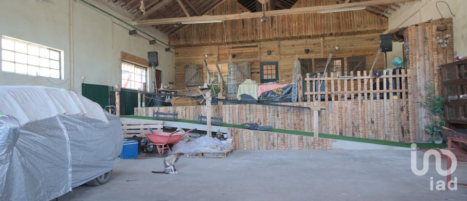 Maison T3 à Arrimal e Mendiga de 509 m²