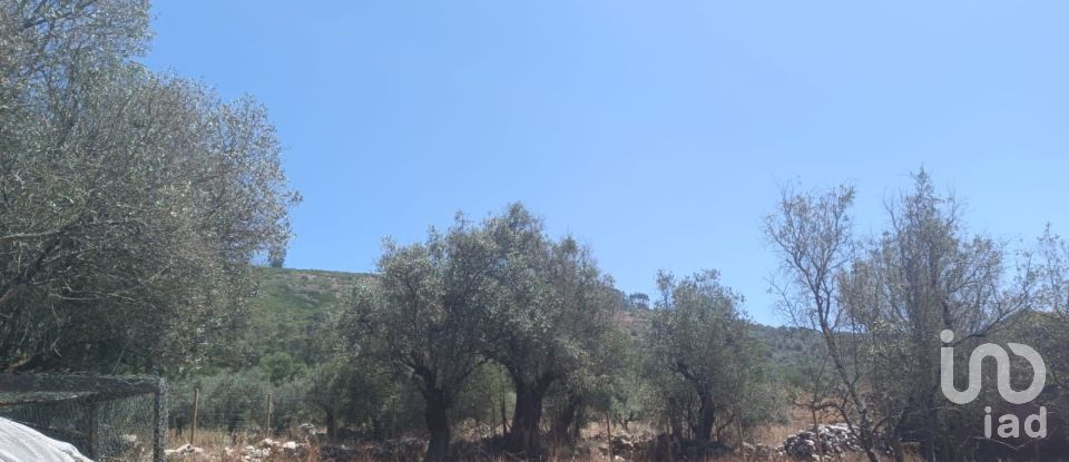 Maison T3 à Arrimal e Mendiga de 509 m²