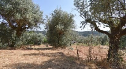 Maison T3 à Podentes de 288 m²