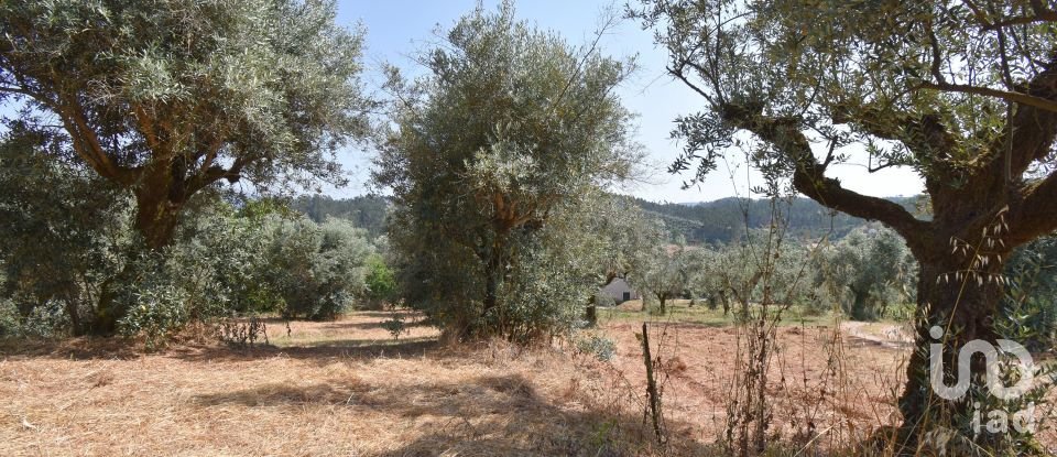 Maison T3 à Podentes de 288 m²