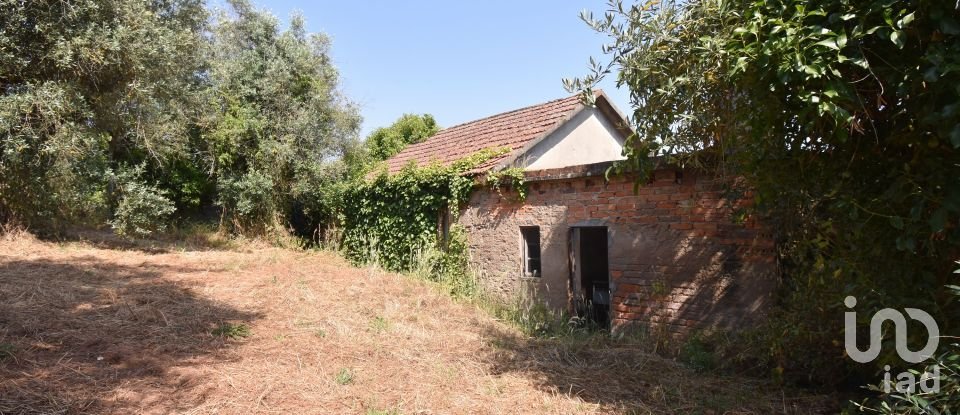 Maison T3 à Podentes de 288 m²