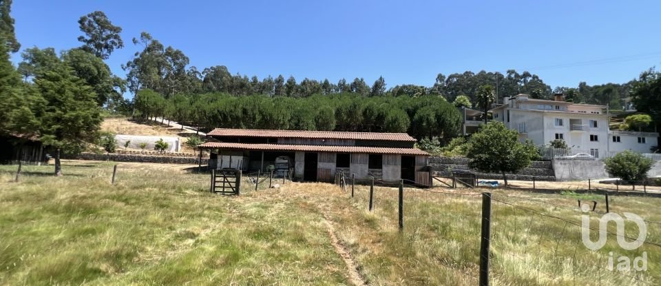 Quinta T4 em Castelões de 643 m²