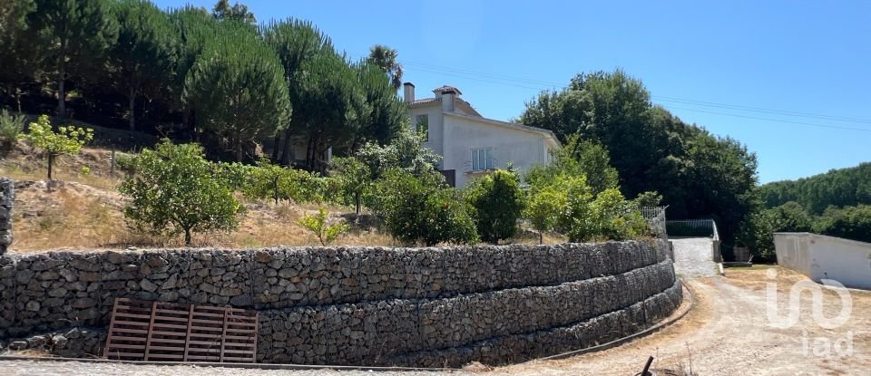 Quinta T4 em Castelões de 643 m²