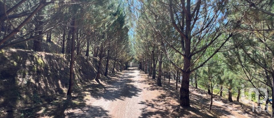 Quinta T4 em Castelões de 643 m²