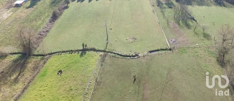 Quinta T4 em Castelões de 643 m²