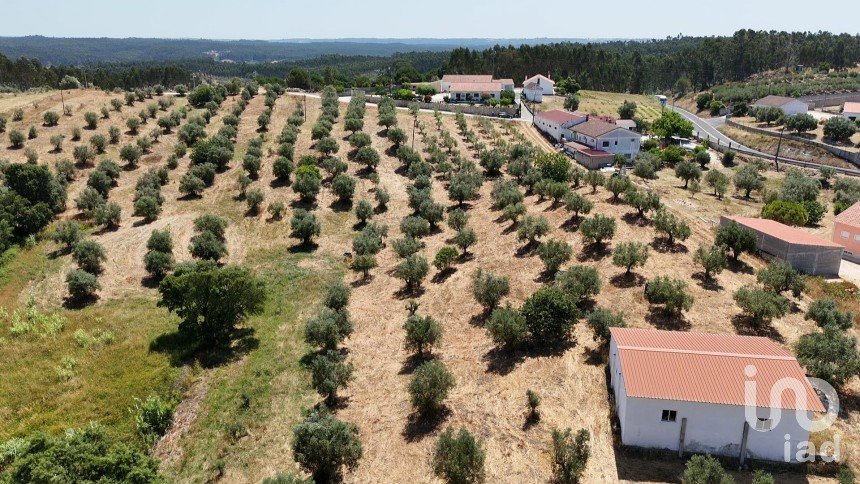 Terrain à Fráguas de 12 240 m²