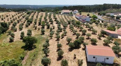 Terrain à Fráguas de 12 240 m²