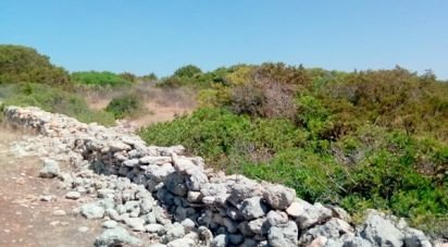 Terrain agricole à Porches de 22 010 m²