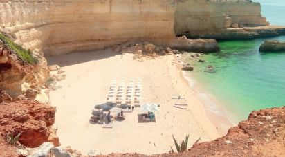 Terrain agricole à Porches de 22 010 m²