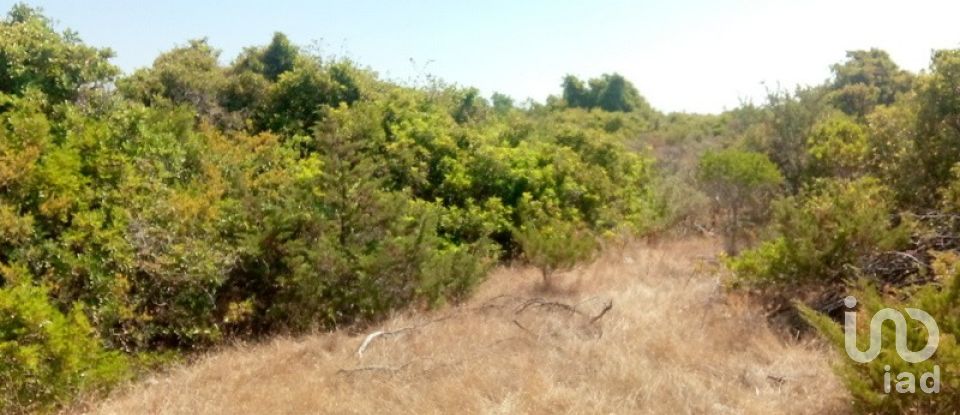 Farm land in Porches of 22,010 m²