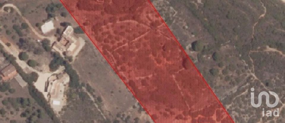 Farm land in Porches of 22,010 m²