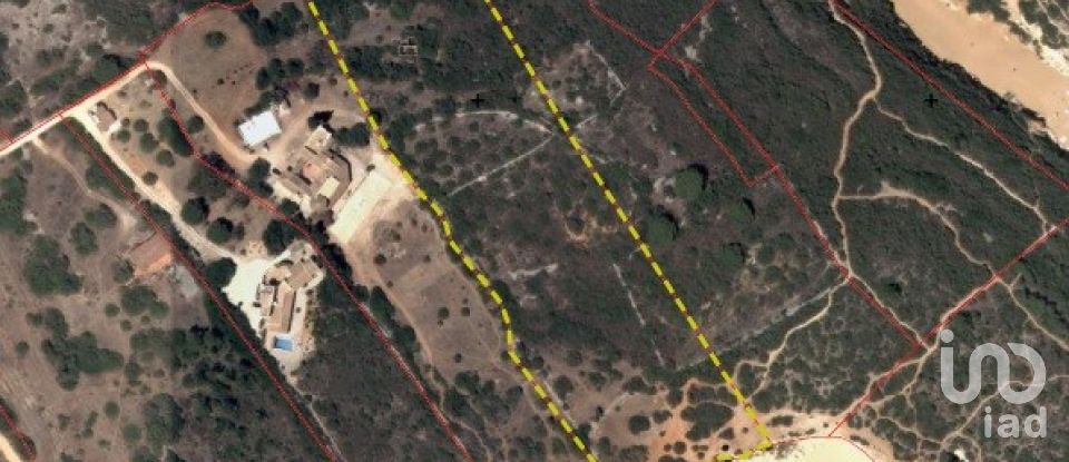 Farm land in Porches of 22,010 m²