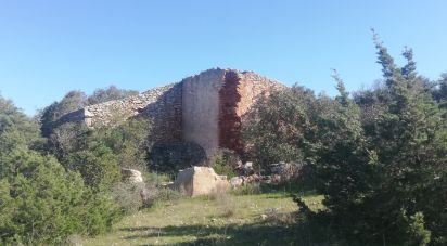 Terrain agricole à Porches de 22 010 m²