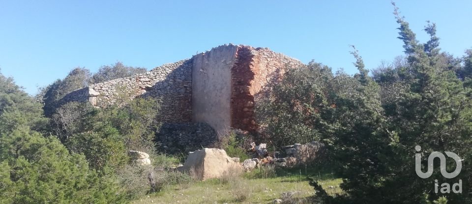 Farm land in Porches of 22,010 m²