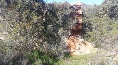 Terrain agricole à Porches de 22 010 m²