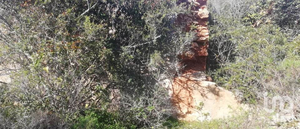 Farm land in Porches of 22,010 m²