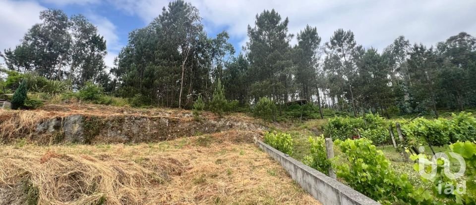 Terreno em Mancelos de 640 m²